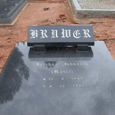 BRUWER Jacobus Johannes 1949-1991