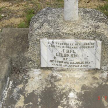 LIEBENBERG Wilhelm 1822-1917