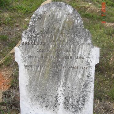 EKSTEEN Arnoldus1843-1896 :: EKSTEEN H.A.