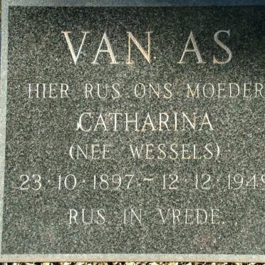 AS Catharina, van nee WESSELS 1897-1949