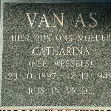 AS Catharina, van nee WESSELS 1897-1949