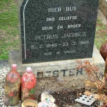 BESTER Petrus Jacobus 1948-1968