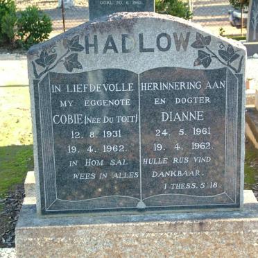 HADLOW Cobie nee DU TOIT 1931-1962 :: HADLOW Dianne 1961-1962