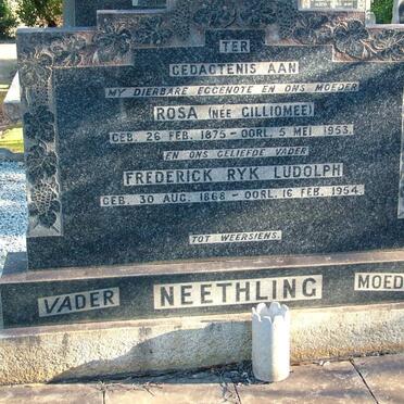NEETHLING Frederick Ryk Ludolph 1868-1954 &amp; Rosa GILLIOMEE 1875-1953