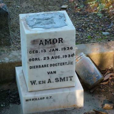 SMIT Amor 1936-1936