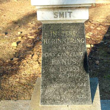 SMIT Banus 1955-1961