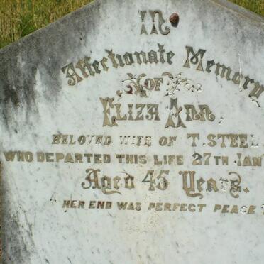 STEEL Eliza Ann -1890