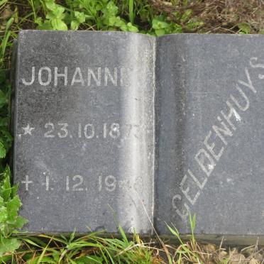 GELDENHUYS Johannes 1873-1948