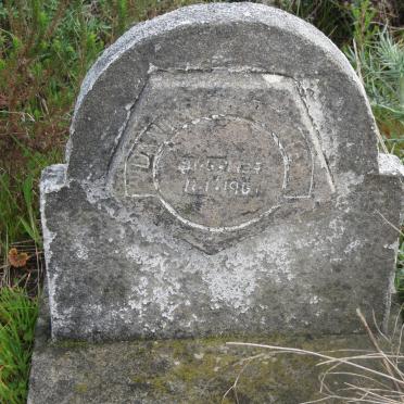 ? Danie? 1934-1961