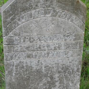 TOIT W.J., du 1919-1945