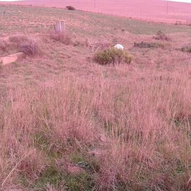 1. Overview / Oorsig