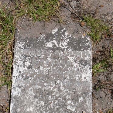 BIRNBAUM Marthilde Eleonora 1898-1899