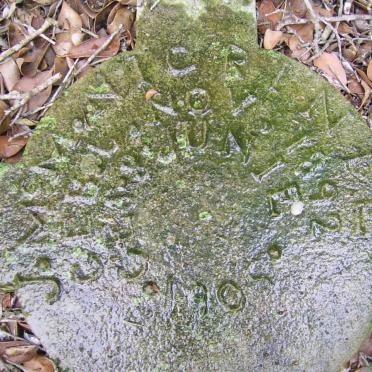 NIGRINIE J.M. 1892-1905