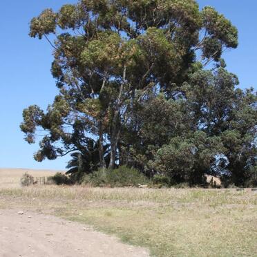 1. Road to Ouplaas Cemetery