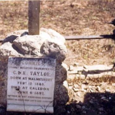 TAYLOR Corrie 1885-1892