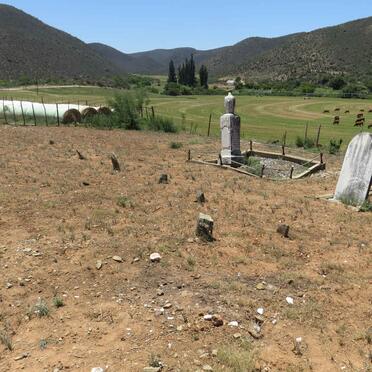 2. Overview / Oorsig