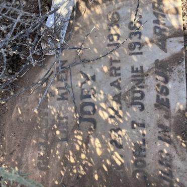 Western Cape, CALITZDORP district, Calitzdorp, Goedverwagting 35_6, farm cemetery