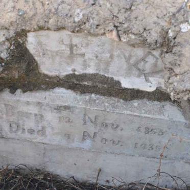 NEL F.E. 1855-1935