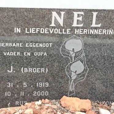 N - Vanne :: Surnames - N