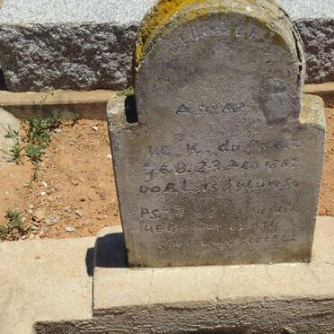 PREEZ W. ?, du 1882-1956