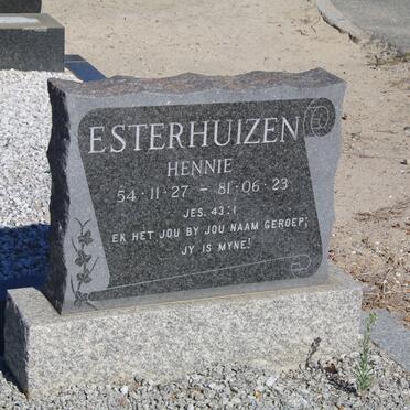 ESTERHUIZEN Hennie 1954-1981