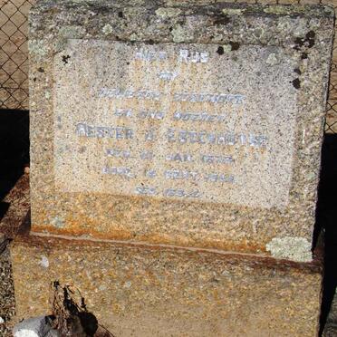 ESTERHUYSE Hester J. 1878-1944