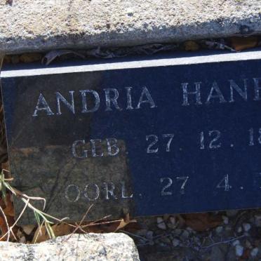 HANEKOM Andria 1887-1939