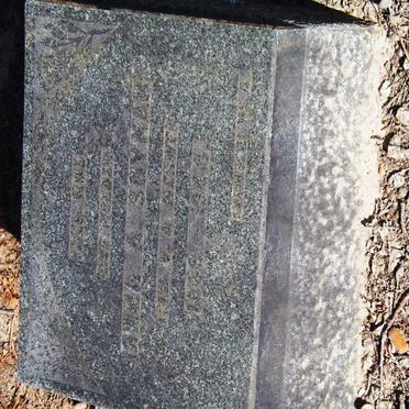 SNYMAN Anna A. nee v.d. MERWE 1869-1944