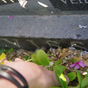 VISSER Andries B. 1922-1990