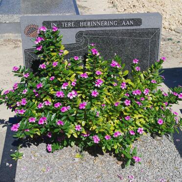 VISSER Andries B. 1922-1990