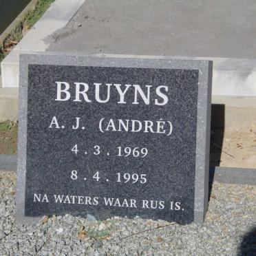 BRUYNS A.J. 1969-1995