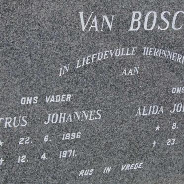 BOSCH Petrus Johannes, Van 1896-1971 &amp; Alida Johanna PRINS 1892-1970