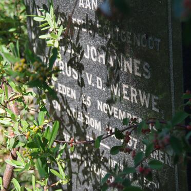MERWE Carel Johannes Petrus, v.d. -1909