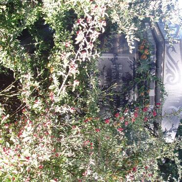 MERWE Maria ?, van der