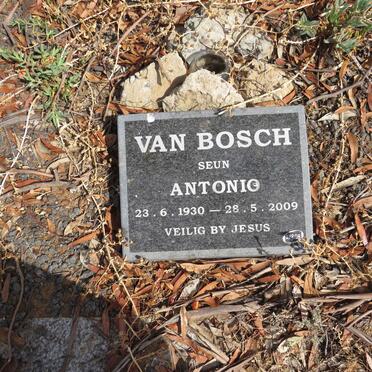 B - Vanne :: Surnames - B