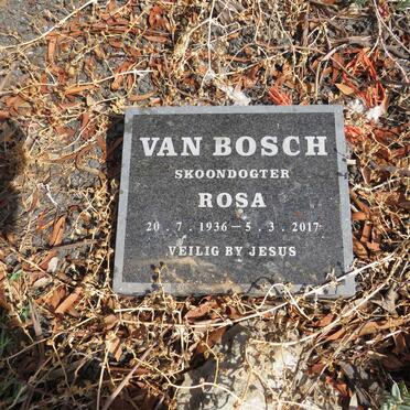 BOSCH Rosa, van 1936-2017