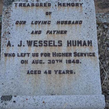 HUMAN A.J. Wessels -1949