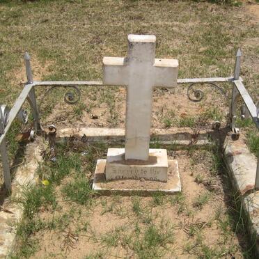 3. Unknown graves