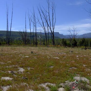 4. Overview / Oorsig