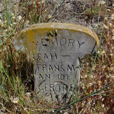 FRANSMAN Leah