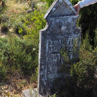 ? Tolla 1911-19??