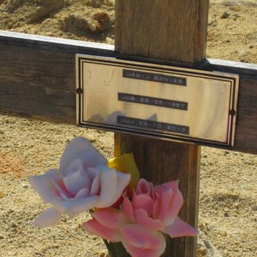 BANIES Dawid 1957-2013