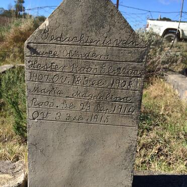 ROOS Hester 1907-1908 :: ROOS Maria Magdalena 1914-1915