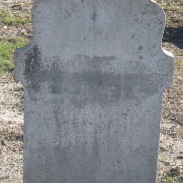 ? Susanna