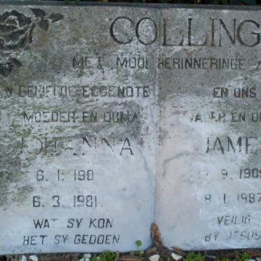 COLLING James 1905-1987 &amp; Johanna 190?-1981 :: COLLING Irene Martha nee BOSHOFF 1943-1989