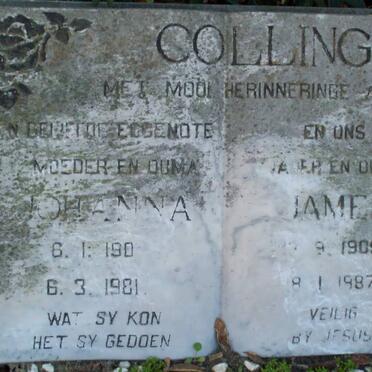 COLLING James 1905-1987 &amp; Johanna 190?-1981 :: COLLING Irene Martha nee BOSHOFF 1943-1989