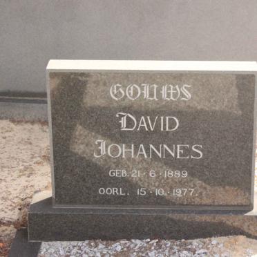 GOUWS David Johannes 1889-1977