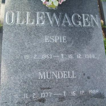 OLLEWAGEN