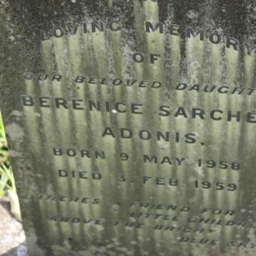 ADONIS Berenice Sarchen 1958-1959