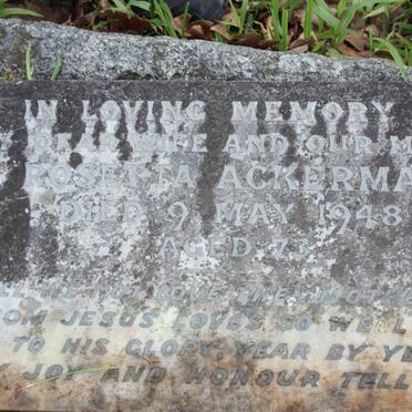 ACKERMAN Rosetta -1948